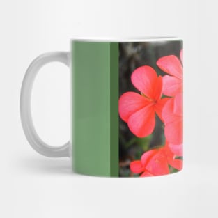 Harmony and love with red blossom Mug